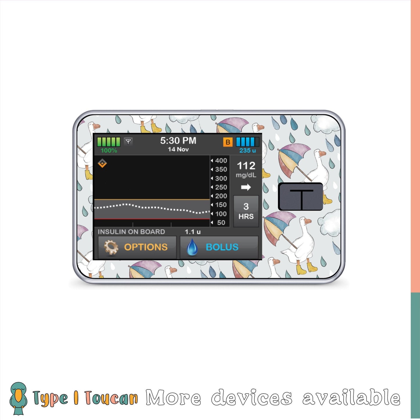 Rainy Day Goose | Diabetes Stickers | Rainbow on Black Night Dexcom G6 Stickers Omnipod Freestyle Libre Tslim Minimed Medtronic Pump
